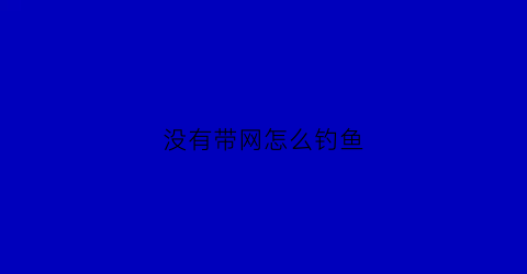 “没有带网怎么钓鱼(没有网子怎么捞鱼)