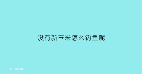 没有新玉米怎么钓鱼呢(新鲜玉米不加工可以钓鱼吗)