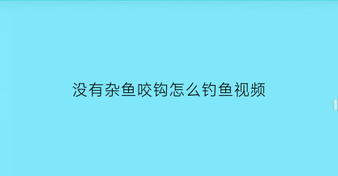 “没有杂鱼咬钩怎么钓鱼视频(没有杂鱼咬钩怎么钓鱼视频讲解)