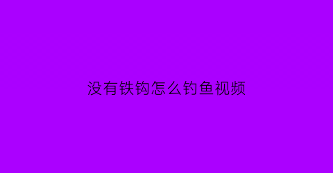 没有铁钩怎么钓鱼视频(没有鱼钩的钓竿)