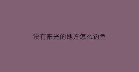 “没有阳光的地方怎么钓鱼(没有阳光怎么样)