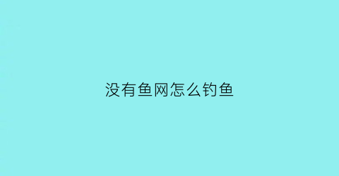 没有鱼网怎么钓鱼(没有网子怎么捞鱼)