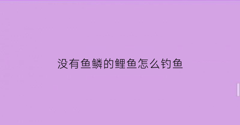 “没有鱼鳞的鲤鱼怎么钓鱼(没有鱼鳞的鲤鱼怎么钓鱼视频)