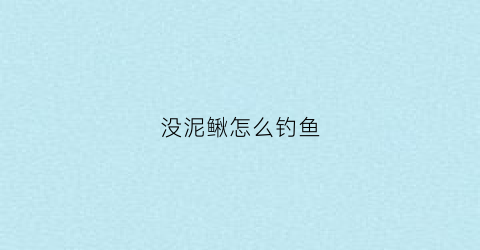 没泥鳅怎么钓鱼(泥鳅不打窝能钓翘嘴吗)