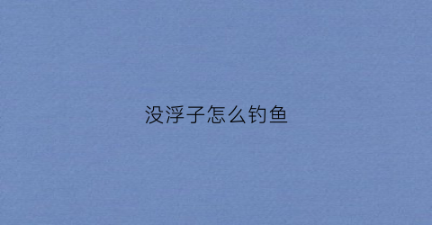 没浮子怎么钓鱼(没浮子怎么钓鱼视频)