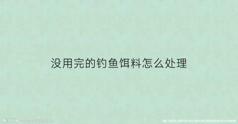 没用完的钓鱼饵料怎么处理(没用完的钓鱼饵料怎么处理好)