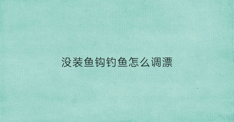 没装鱼钩钓鱼怎么调漂(没有鱼钩的钓竿)