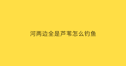 “河两边全是芦苇怎么钓鱼(河里长的芦苇)