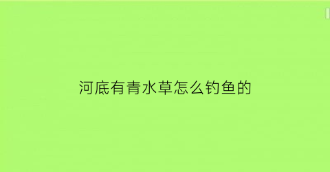 河底有青水草怎么钓鱼的(河底有青水草怎么钓鱼的呢)
