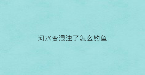 “河水变混浊了怎么钓鱼(河水变混浊了怎么钓鱼好)