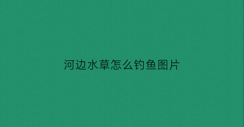 河边水草怎么钓鱼图片(河边水草种类)