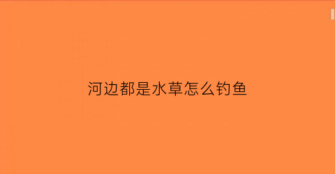 河边都是水草怎么钓鱼(河面长满水草可以钓鱼吗)