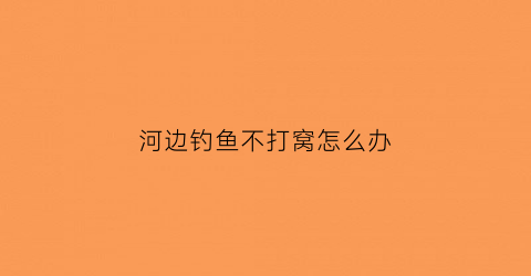 河边钓鱼不打窝怎么办(河边钓鱼不打窝怎么办呀)