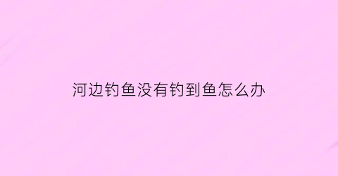 河边钓鱼没有钓到鱼怎么办