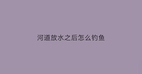 河道放水之后怎么钓鱼(河道放水之后怎么钓鱼视频)