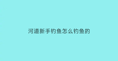河道新手钓鱼怎么钓鱼的(河道新手钓鱼怎么钓鱼的视频)