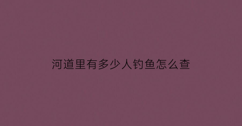 河道里有多少人钓鱼怎么查(怎么查询河道的水位情况)