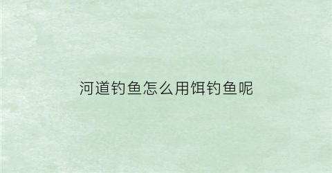 河道钓鱼怎么用饵钓鱼呢