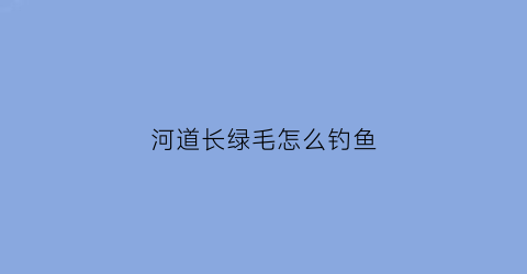 河道长绿毛怎么钓鱼