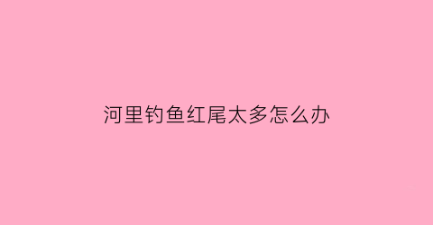 “河里钓鱼红尾太多怎么办(野河钓红尾鱼的钓法)