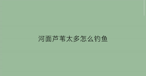 河面芦苇太多怎么钓鱼(河面芦苇太多怎么钓鱼呢)