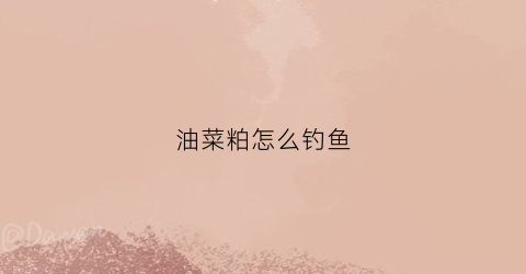 油菜粕怎么钓鱼