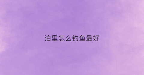 泊里怎么钓鱼最好(泊里野钓)