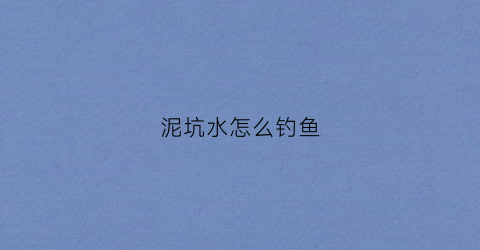 泥坑水怎么钓鱼(泥水坑图片)
