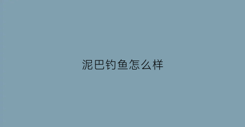 泥巴钓鱼怎么样(泥鱼用什么饵钓)