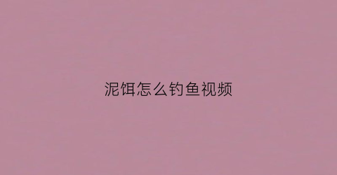 泥饵怎么钓鱼视频(钓泥鱼用什么饵)
