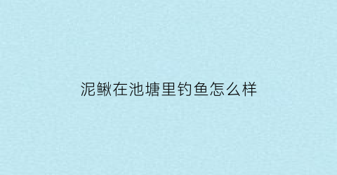 泥鳅在池塘里钓鱼怎么样(泥鳅在池塘里钓鱼怎么样呢)