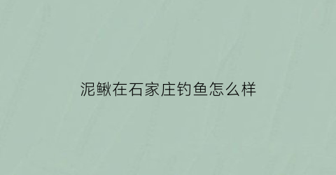 泥鳅在石家庄钓鱼怎么样