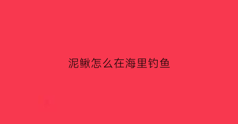 泥鳅怎么在海里钓鱼(用泥鳅海钓视频)