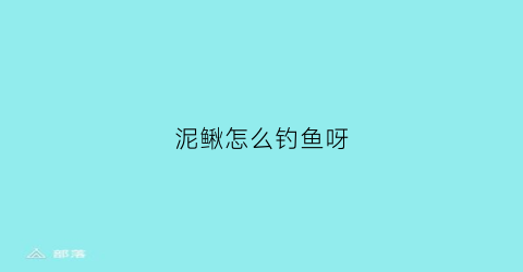 泥鳅怎么钓鱼呀(泥鳅怎么钓鱼呀图片)
