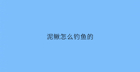 泥鳅怎么钓鱼的(泥鳅怎么钓鱼的视频教程)