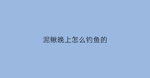 “泥鳅晚上怎么钓鱼的(用泥鳅钓鱼晚上好还是白天好)