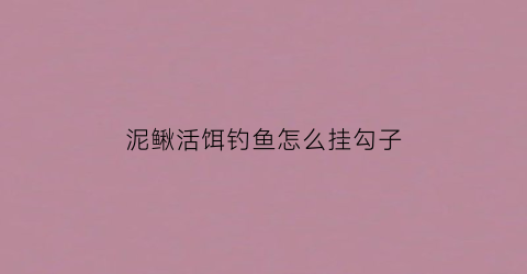 泥鳅活饵钓鱼怎么挂勾子(泥鳅活饵钓鱼视频)