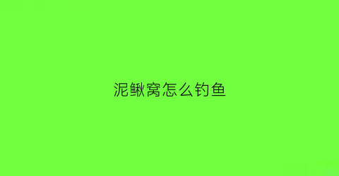 泥鳅窝怎么钓鱼(泥鳅打窝钓法)