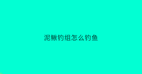 泥鳅钓组怎么钓鱼(泥鳅钓鱼教程)