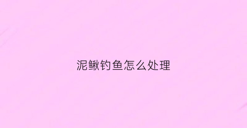 泥鳅钓鱼怎么处理(用泥鳅怎么钓鱼主钓什么鱼)
