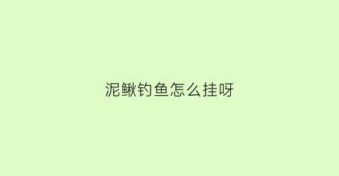 泥鳅钓鱼怎么挂呀