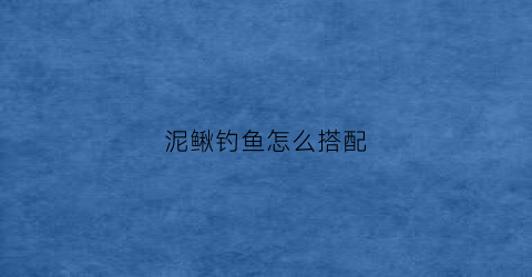 泥鳅钓鱼怎么搭配(泥鳅钓鱼钓什么鱼)