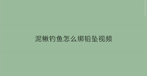 泥鳅钓鱼怎么绑铅坠视频(泥鳅钓鱼怎么挂钩视频)