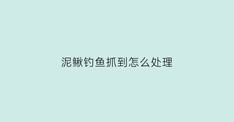 “泥鳅钓鱼抓到怎么处理(泥鳅钓鱼是怎么回事)