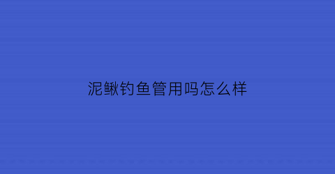 “泥鳅钓鱼管用吗怎么样(泥鳅用来钓鱼什么视频)