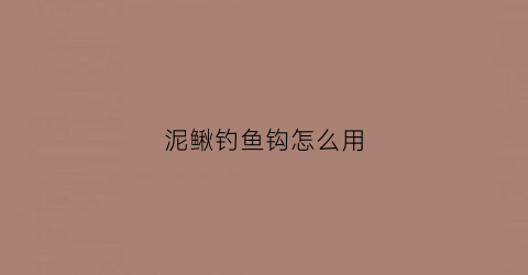 泥鳅钓鱼钩怎么用(钓鱼钩泥鳅怎么钩)