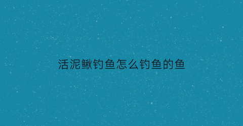 活泥鳅钓鱼怎么钓鱼的鱼(如何用活泥鳅钓鱼视频)