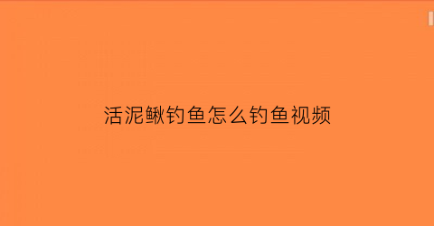 活泥鳅钓鱼怎么钓鱼视频