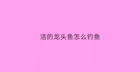 活的龙头鱼怎么钓鱼