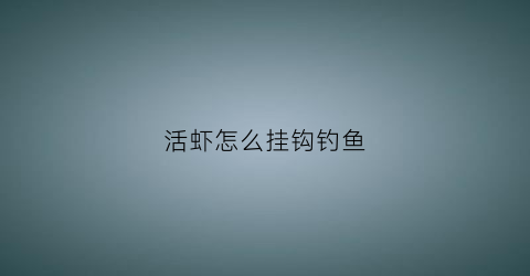 活虾怎么挂钩钓鱼